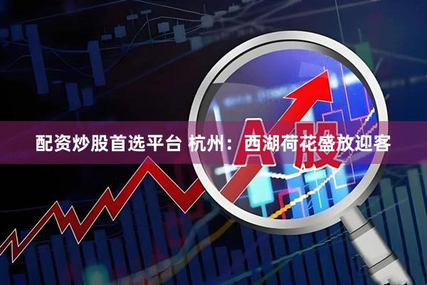 配资炒股首选平台 杭州：西湖荷花盛放迎客