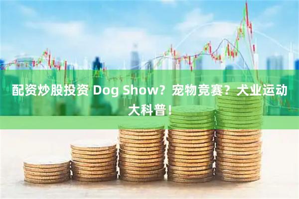 配资炒股投资 Dog Show？宠物竞赛？犬业运动大科普！